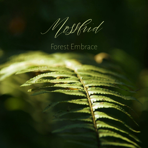 video美娜子自慰
