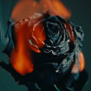 video美娜子自慰
