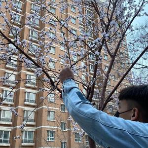 video美娜子自慰
